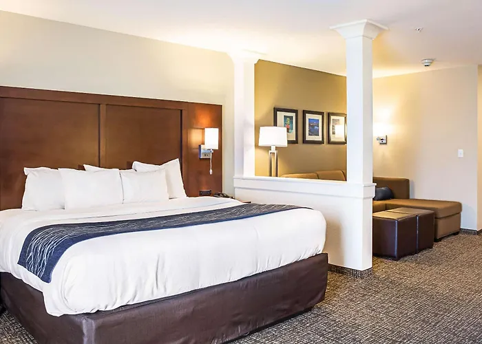 Comfort Inn & Suites Niagara Falls Blvd Usa