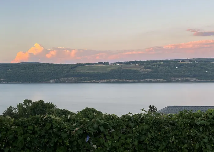 Pet friendly The Hotel Laurel At Seneca Watkins Glen