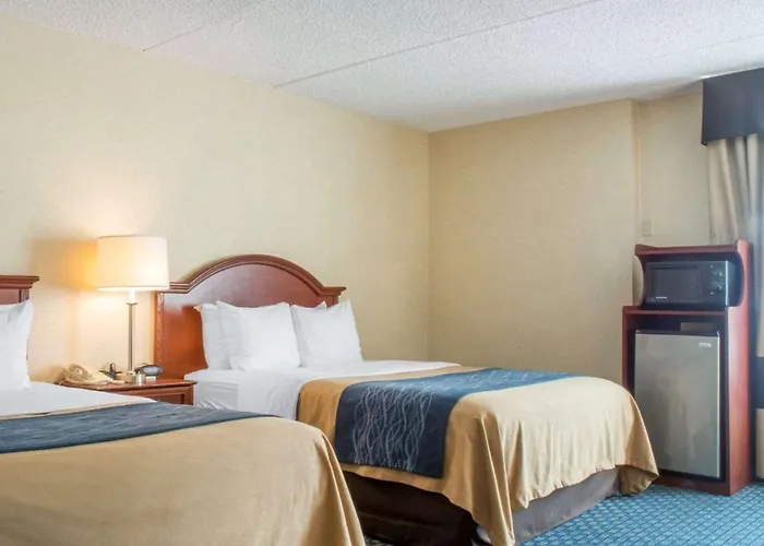 Rochester Cheap Hotels